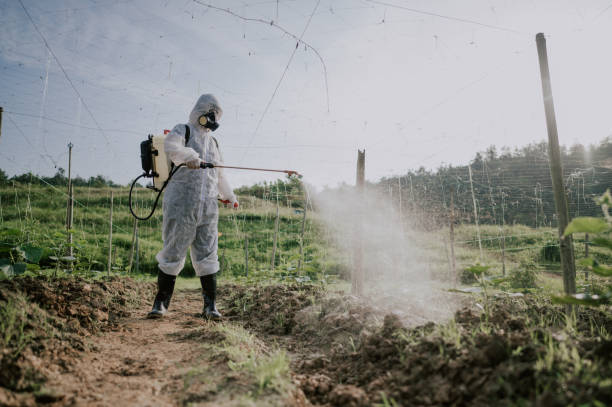 Best Commercial Pest Control Services  in Mcgregor, FL