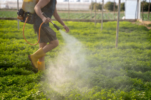 Best Wildlife Control Services  in Mcgregor, FL