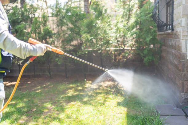 Best Pest Control Near Me  in Mcgregor, FL