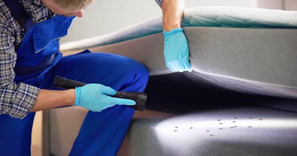 Best Residential Pest Control  in Mcgregor, FL