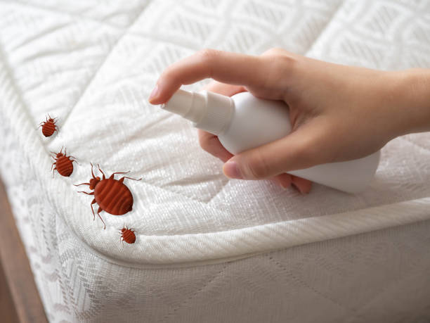 Pest Control for Restaurants in Mcgregor, FL