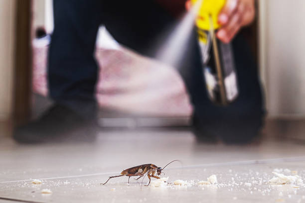 Best Termite Control Services  in Mcgregor, FL