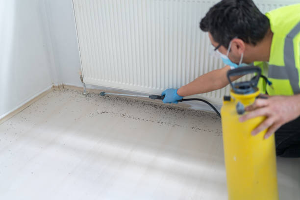 Best Residential Pest Control  in Mcgregor, FL