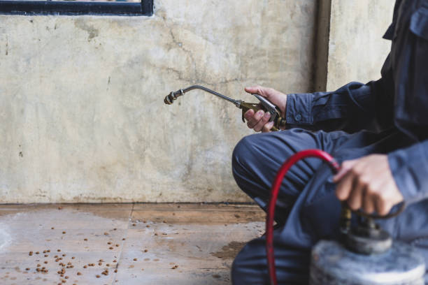Reliable Mcgregor, FL Pest Control Solutions