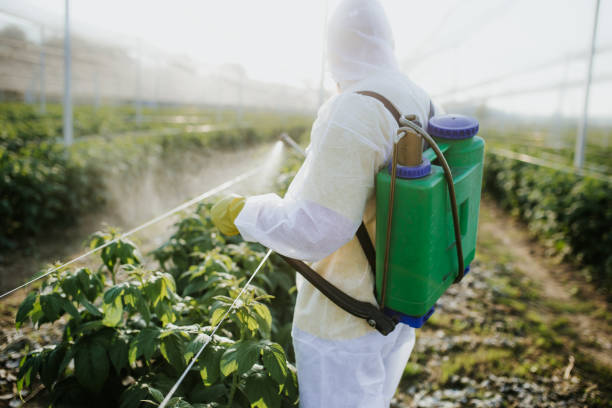 Best Mosquito Control Services  in Mcgregor, FL